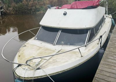 Draco (Polyester) BIEDEN