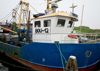 Professionele Visboot / Fishing Vessel